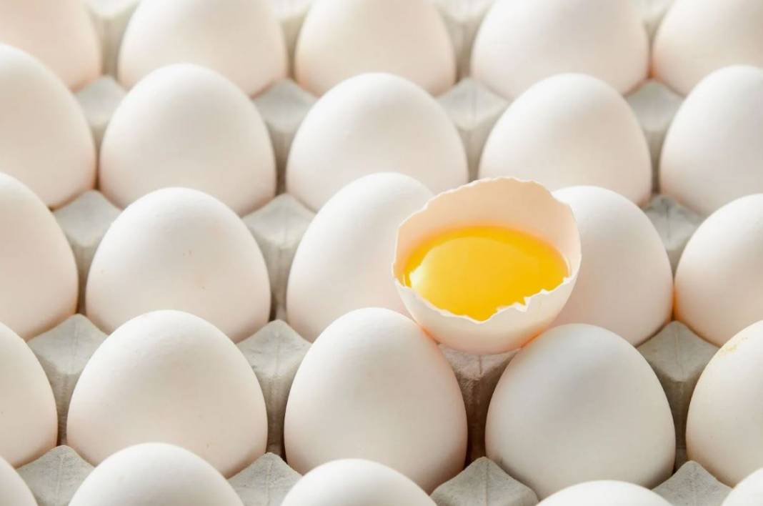 Beyaz mı kahverengi mi? Hangi yumurta daha sağlıklı? 19